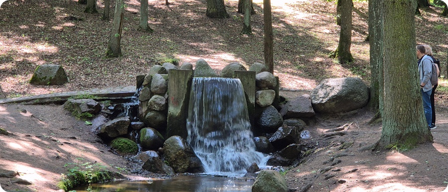 Чем заняться в парке «Дрозды»