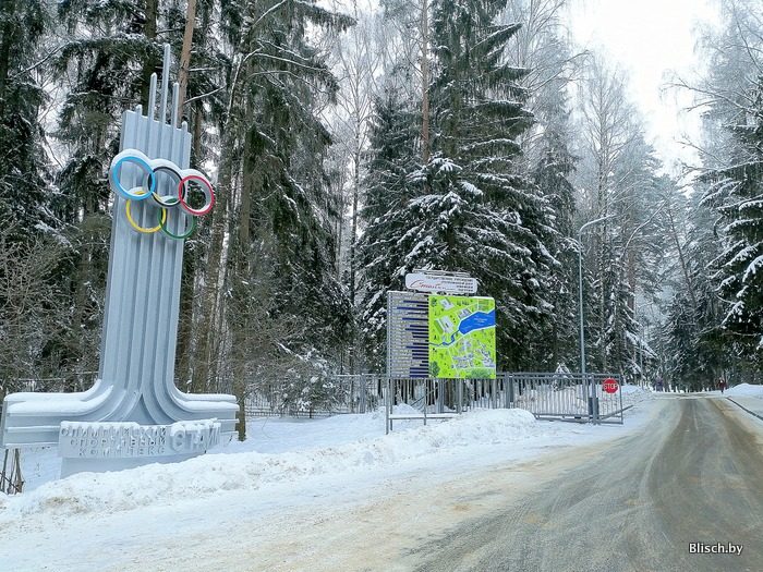 Олимпийские стайки. Олимпийские стайки. Рцоп "стайки". Стайки олимпийский спортивный комплекс. Олимпийские стайки.