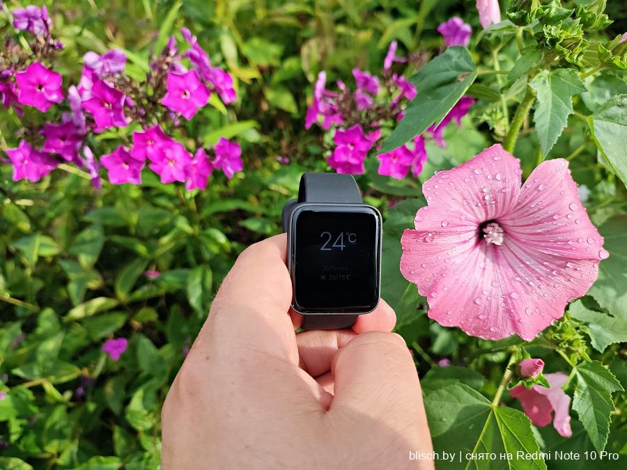 Xiaomi mi watch lite или mi band 6 что лучше. IMG 20210729 181909 07. Xiaomi mi watch lite или mi band 6 что лучше фото. Xiaomi mi watch lite или mi band 6 что лучше-IMG 20210729 181909 07. картинка Xiaomi mi watch lite или mi band 6 что лучше. картинка IMG 20210729 181909 07