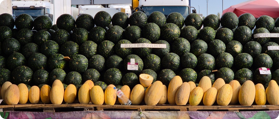 Рынок «Новый Лебяжий» в Таборах: где находится, как добраться и есть ли смысл туда добираться