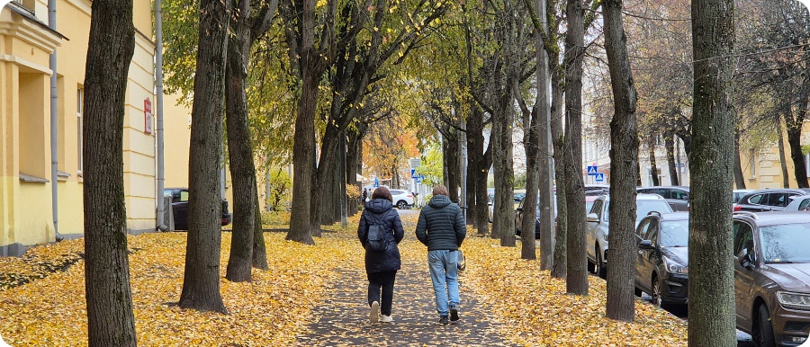 Осень в Осмоловке
