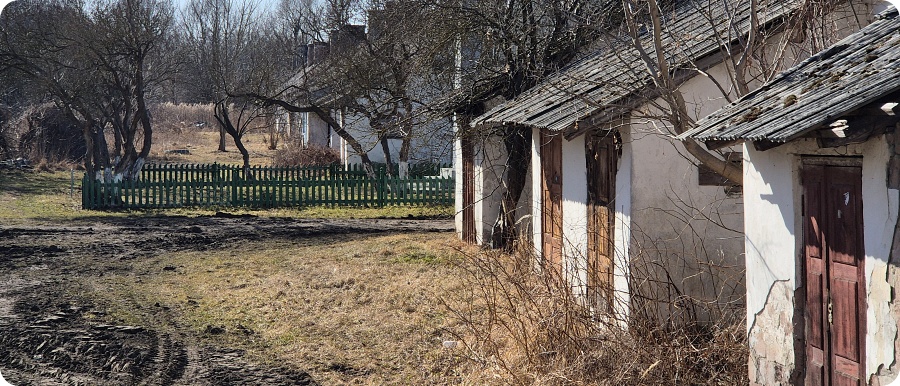 Камышовые люди: поселок кирпичного завода в Бресте