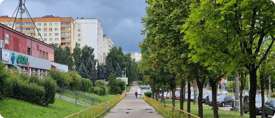 Обзор микрорайона Запад
